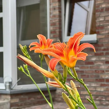 Nyaraló A L'oree Du Bois…