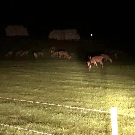 別荘 A L'oree Du Bois…