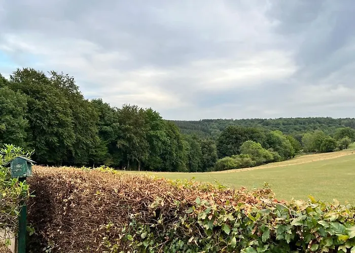 A L’orée Du Bois…