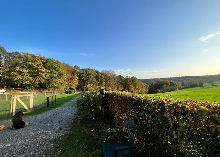 A L’orée Du Bois… Hébergement de vacances