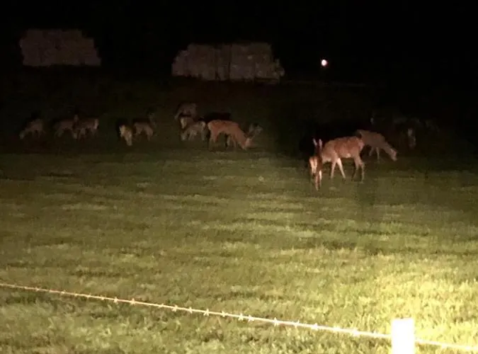 Hébergement de vacances A L’orée Du Bois…