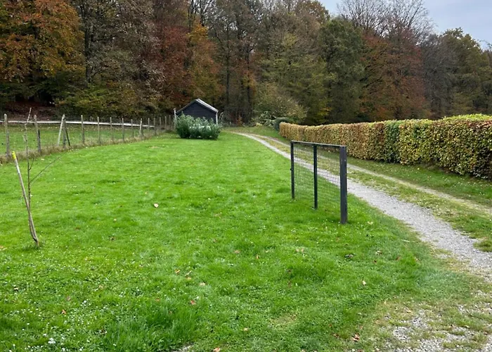 A L’orée Du Bois…