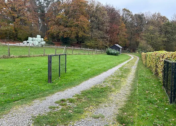 A L’orée Du Bois… Hébergement de vacances